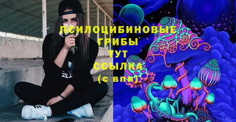 Галлюциногенные грибы Magic Shrooms  Ленинск-Кузнецкий 